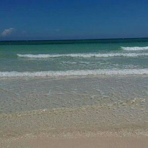 Meet your Posher, Marlene