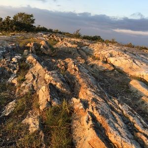 Meet your Posher, Ethan