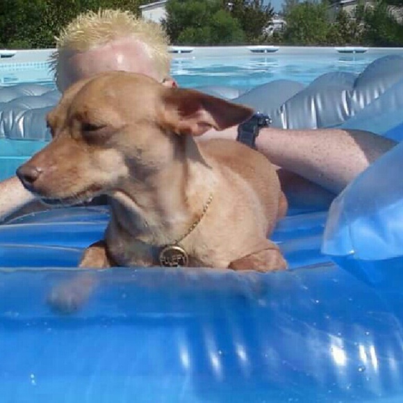 Thank you for visiting - Picture 2 of 8