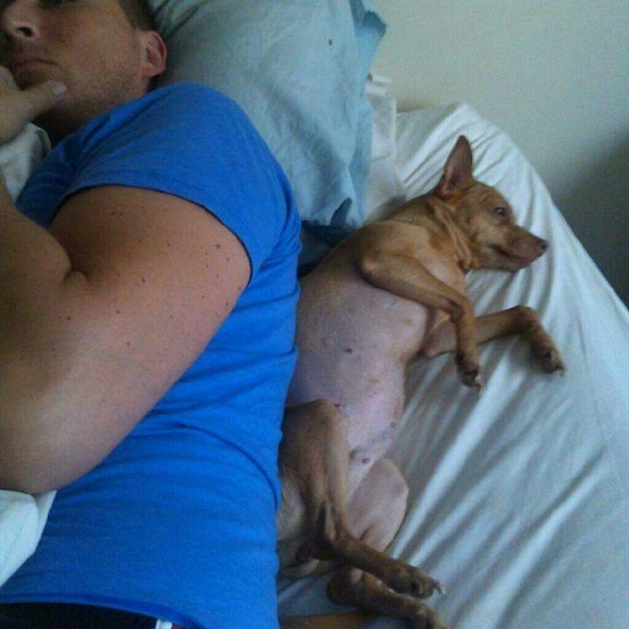 Thank you for visiting - Picture 3 of 8