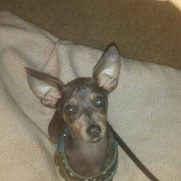 Thank you for visiting - Picture 4 of 8