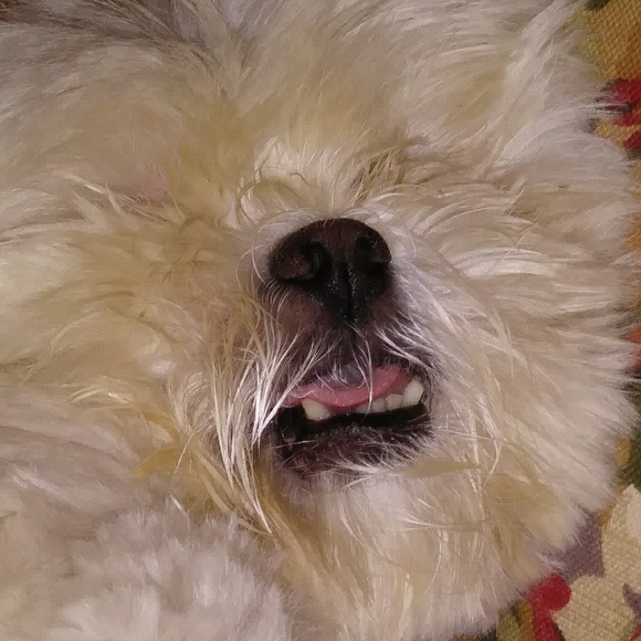 Thank you for visiting - Picture 7 of 8