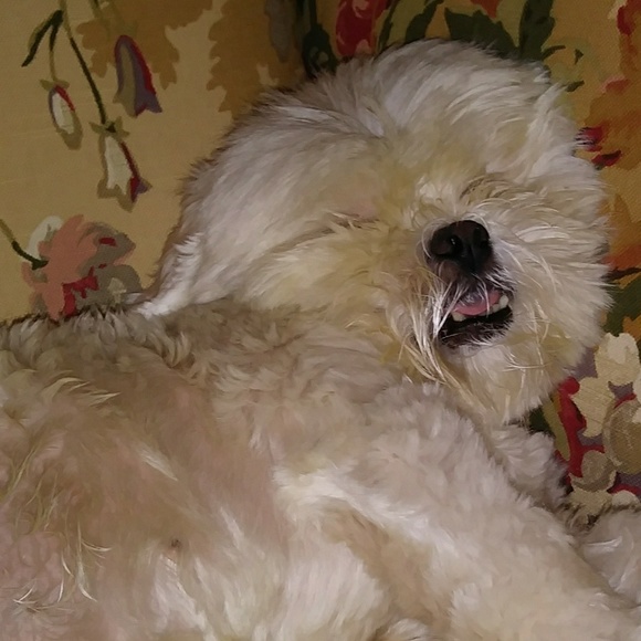 Thank you for visiting - Picture 8 of 8