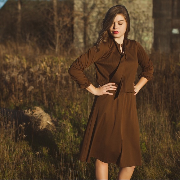 Brown A line Beauty dress