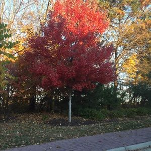 Meet your Posher, Tim