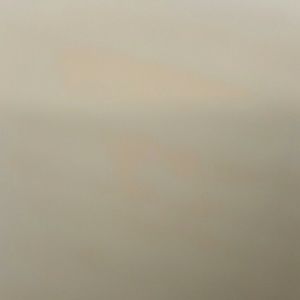 Meet your Posher, Araceli