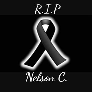 Meet your Posher, Leonardo