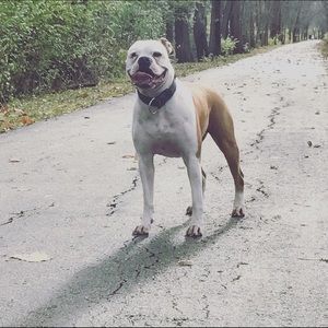 Meet your Posher, Brendon