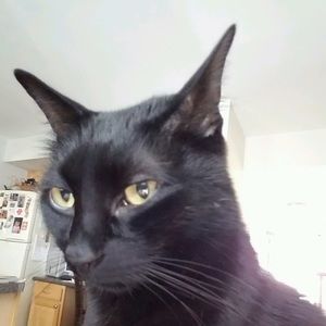 Meet your Posher, Felicity