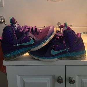 Hornet LeBron IX