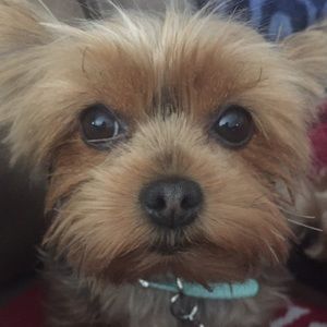 Meet your Posher, Angie