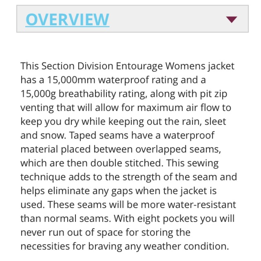 Section Division Snowboard/ Ski Jacket - image 5