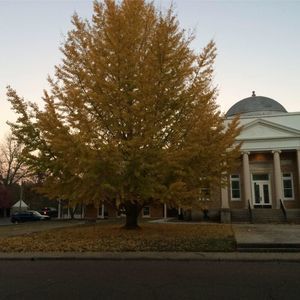 Meet your Posher, Jeanie