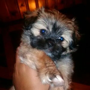 Meet your Posher, Tia