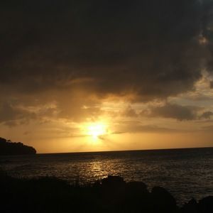 Meet your Posher, One