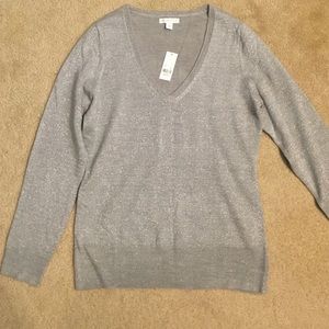 Subtle sparkle sweater