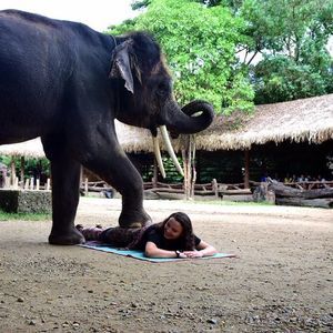 Meet your Posher, Hallie