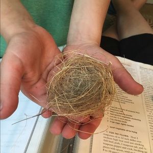 Meet your Posher, Jill