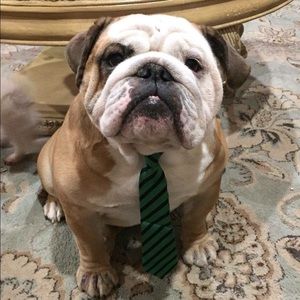 Meet your Posher, Ruby