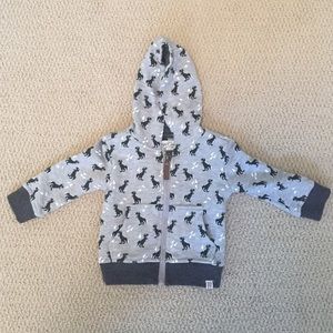Dinosaur hoodie