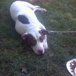 Meet your Posher, Scott