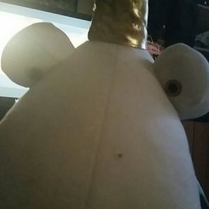 Meet your Posher, Louie