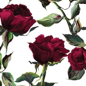 Meet your Posher, Carley