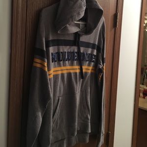 Michigan Pink Hoodie