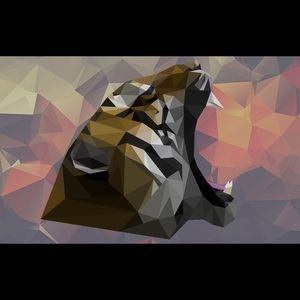 Meet your Posher, Ethan