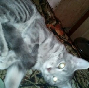 Meet your Posher, Christy