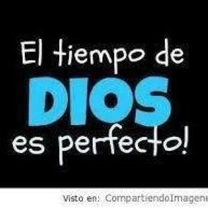 Meet your Posher, Martha