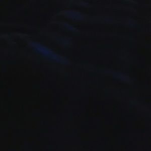 Meet your Posher, Jesse