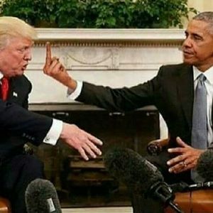 Meet your Posher, Darius