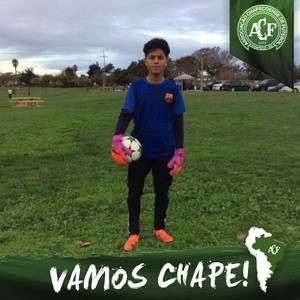 Meet your Posher, Fernando