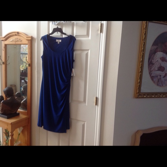 Cobalt Blue Dress