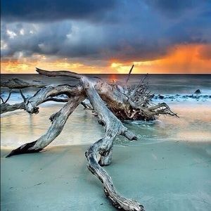 Meet your Posher, Kwan