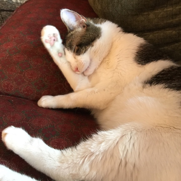 Meet your Posher, Angela