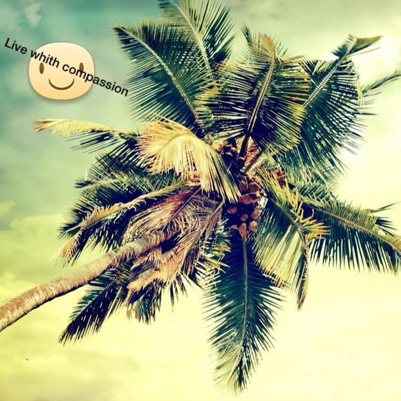 Meet your Posher, Christopher - Picture 1 of 1