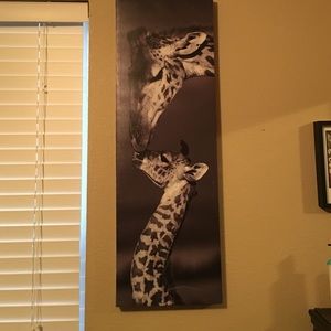 Momma and baby giraffe picture.