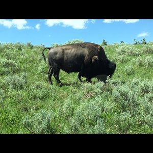 Meet your Posher, Janet