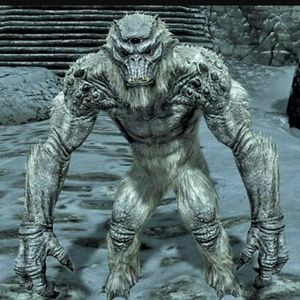 Meet your Posher, Marcos