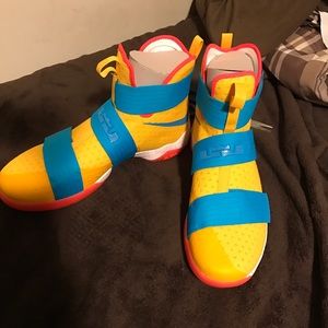 Brand New, Custom Designed, One of a Kind, Labrons