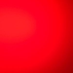 Meet your Posher, Brady