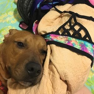 Victoria's Secret Rainbow Lace Push-up Bra