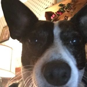 Meet your Posher, Janene