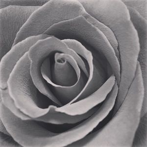 Meet your Posher, Tania