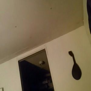 Meet your Posher, Felicia