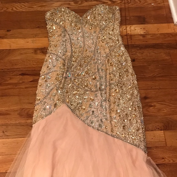 Terani Dress