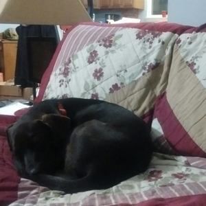 Meet your Posher, Billie