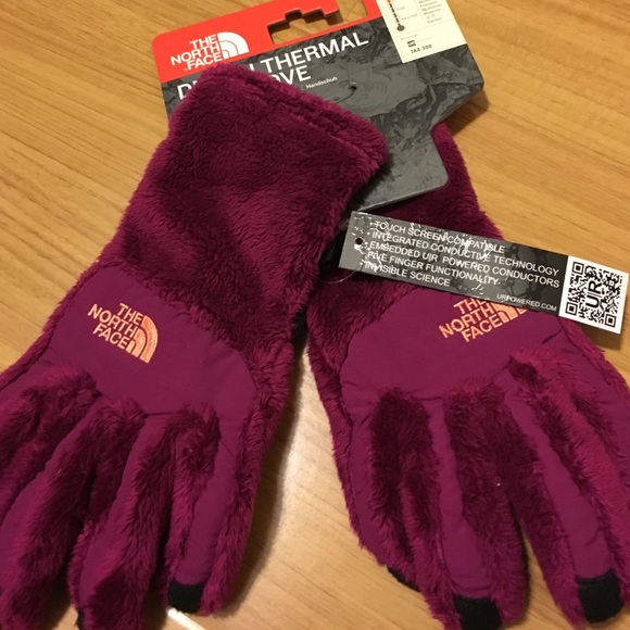 The North Face Denali Thermal Etip Glove